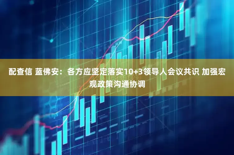 配查信 蓝佛安：各方应坚定落实10+3领导人会议共识 加强宏观政策沟通协调