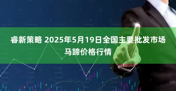 睿新策略 2025年5月19日全国主要批发市场马蹄价格行情