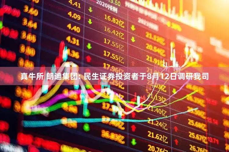 真牛所 朗迪集团: 民生证券投资者于8月12日调研我司